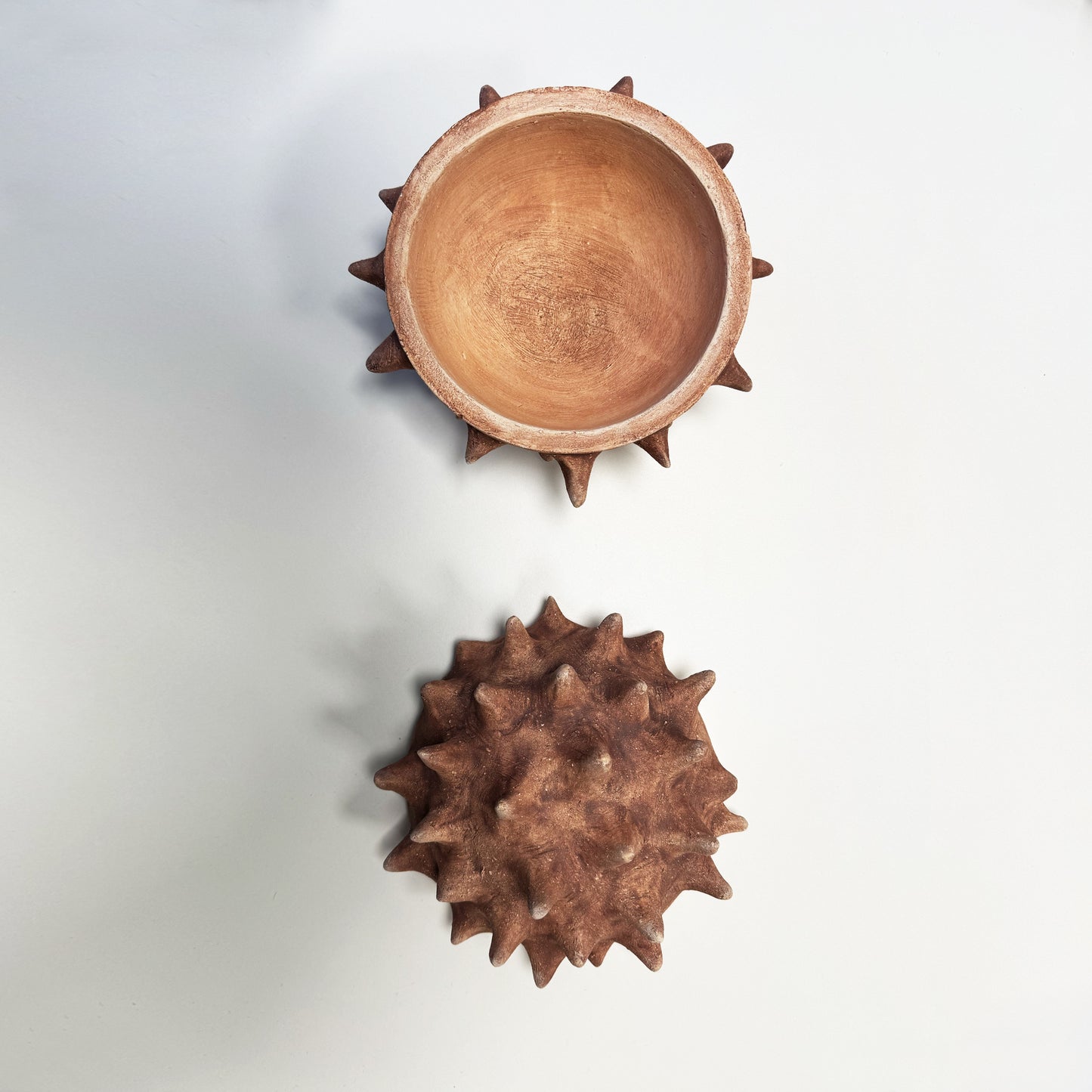 MADROÑO lamp | limited edition